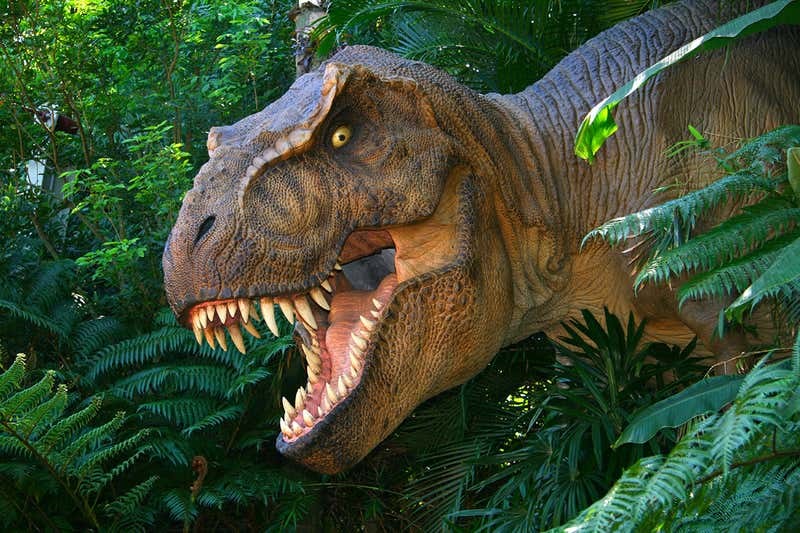 Những phát hiện bất ngờ về loài khủng long bạo chúa T-rex - 5