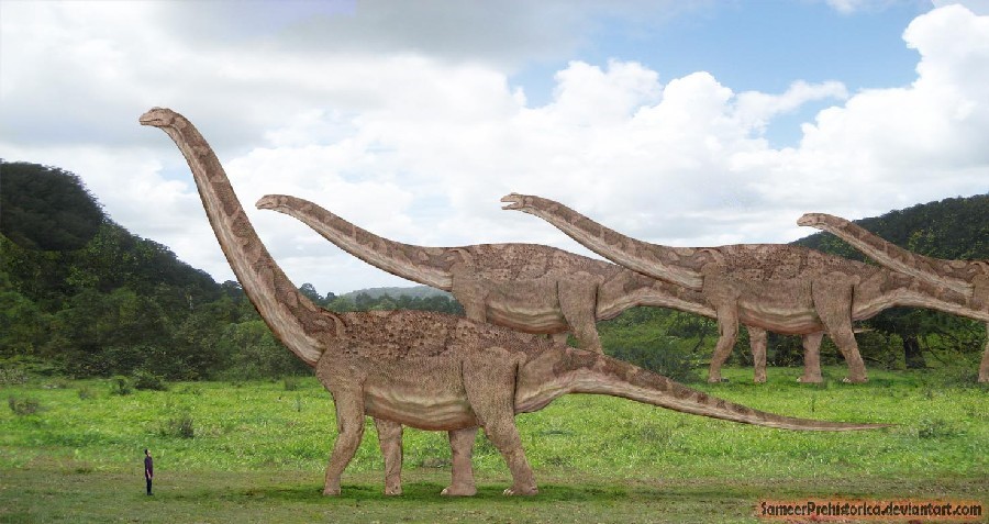 Khám Phá Mọi Điều Về Loài Khủng Long Thằn Lằn To Nhất Thế Giới Argentinosaurus - 5