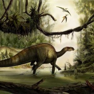 Bí ẩn về khủng long gân Tenontosaurus chưa được giải đáp - 6