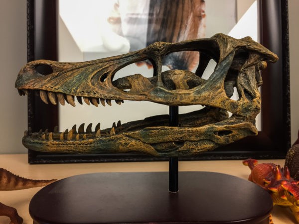 Khám phá bí mật chưa biết về khủng long móng vuốt Velociraptor - 6