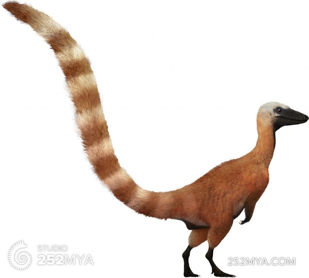 Cùng tìm hiểu về chú Khủng long lông vũ Sinosauropteryx điệu đà - 6
