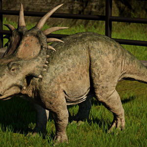 Những bí mật chưa được bật mí về loài khủng long gai Styracosaurus - 6