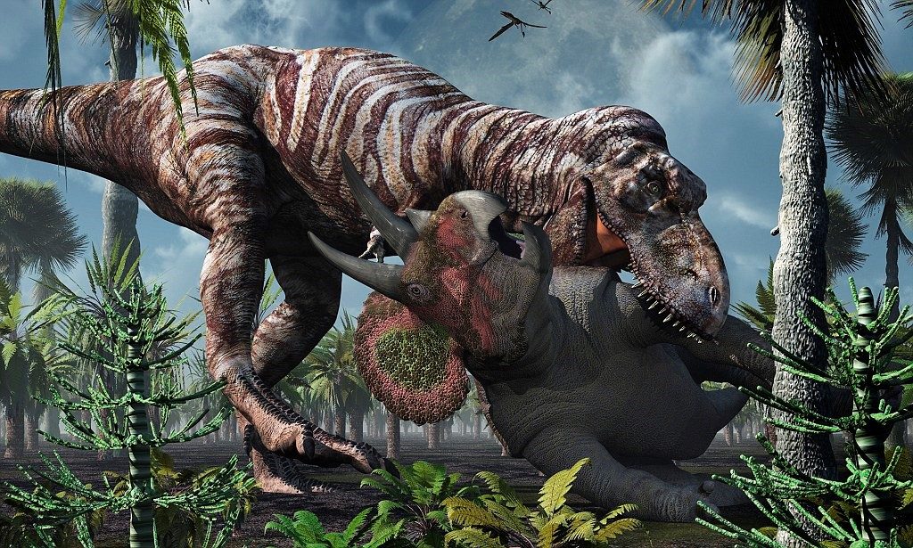 Những phát hiện bất ngờ về loài khủng long bạo chúa T-rex - 6