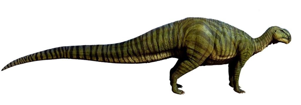 Bí ẩn về khủng long gân Tenontosaurus chưa được giải đáp - 7