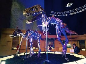 Sự thật thú vị về khủng long mào mỏ vịt Saurolophus - 7