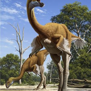 Khám phá những bí ẩn về khủng long tự đà Struthiomimus - 7