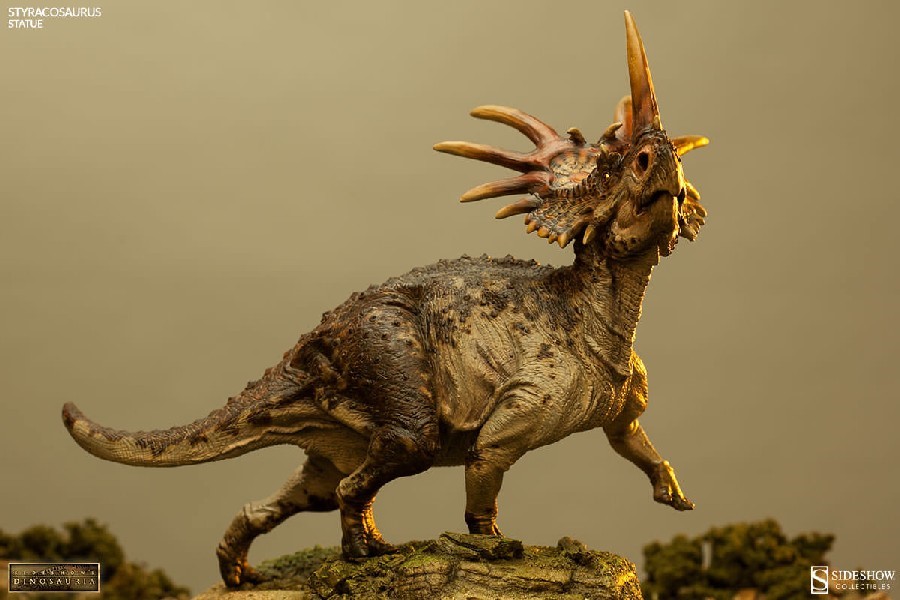 Những bí mật chưa được bật mí về loài khủng long gai Styracosaurus - 7