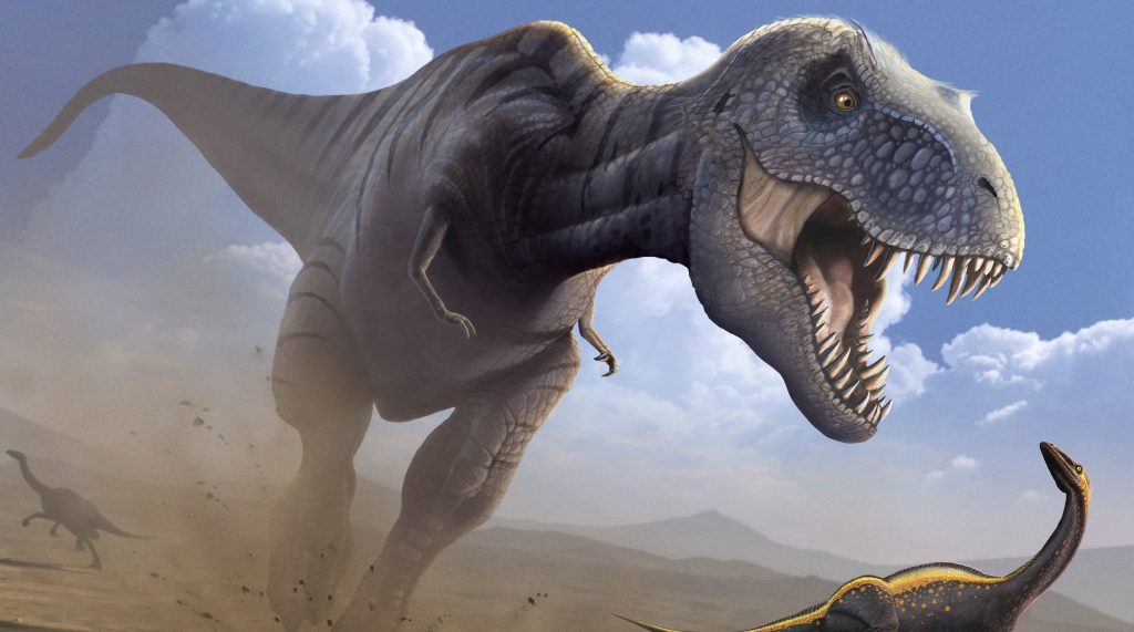 Những phát hiện bất ngờ về loài khủng long bạo chúa T-rex - 7