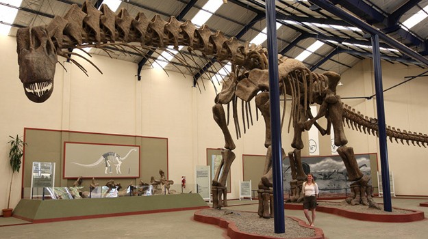 Khám Phá Mọi Điều Về Loài Khủng Long Thằn Lằn To Nhất Thế Giới Argentinosaurus - 7