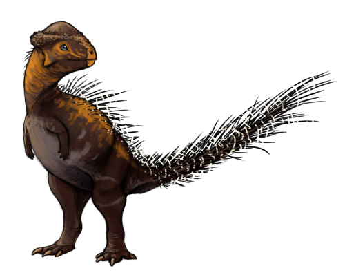 7 điều về khủng long sọ dày stegoceras mà bạn có thể chưa từng nghe qua - 7