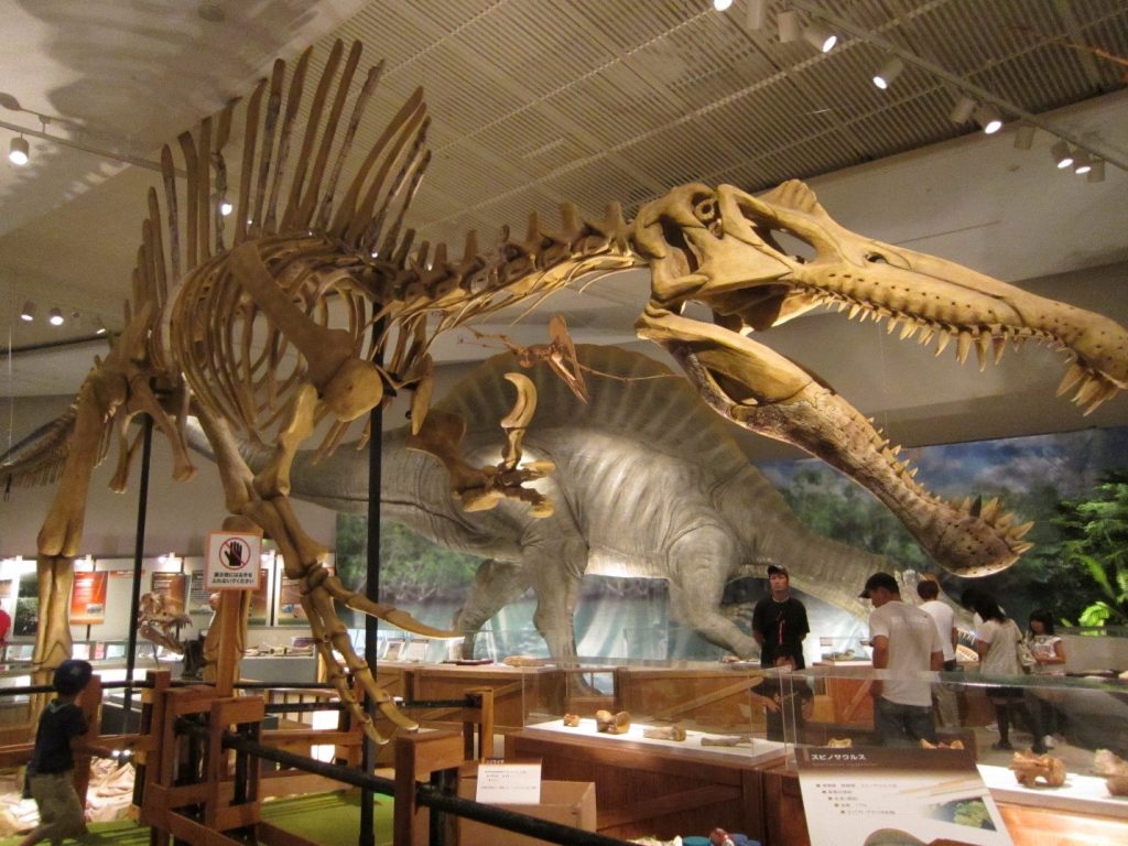 Khủng long gai ăn thịt lớn nhất thế giới Spinosaurus - những bí ẩn mà bạn chưa khám phá - 8
