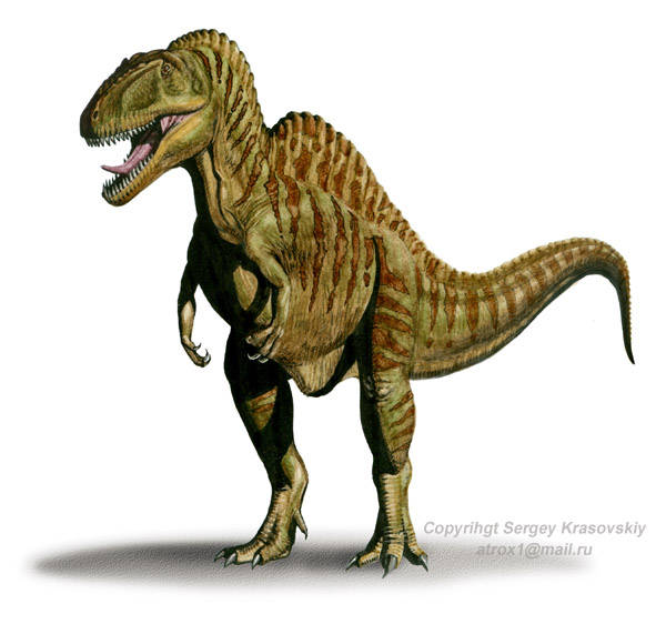 5 sự thật thú vị về loài Khủng long gai sống cao Acrocanthosaurus - 10