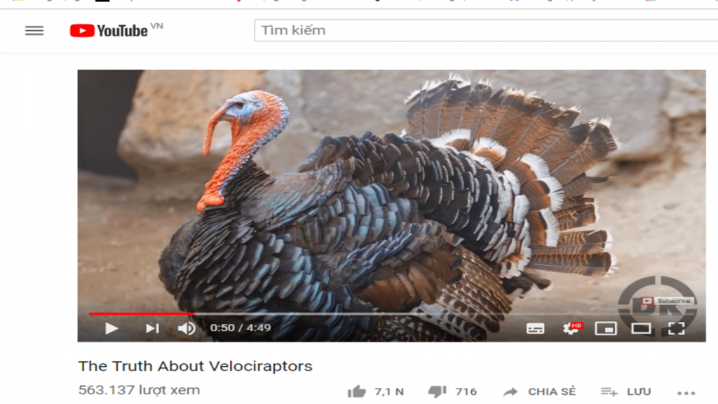 Khám phá bí mật chưa biết về khủng long móng vuốt Velociraptor - 8