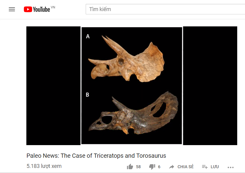 Những sự thật thú vị về khủng long sọ dài Torosaurus mà bạn chưa biết - 8