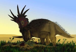 Những bí mật chưa được bật mí về loài khủng long gai Styracosaurus - 8