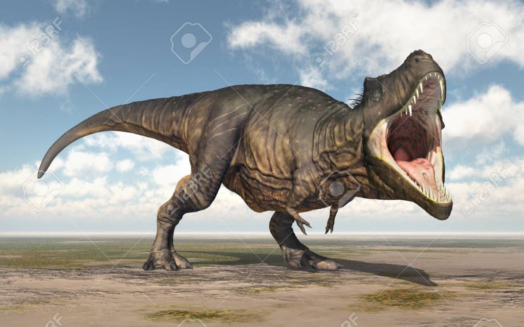 Những phát hiện bất ngờ về loài khủng long bạo chúa T-rex - 8