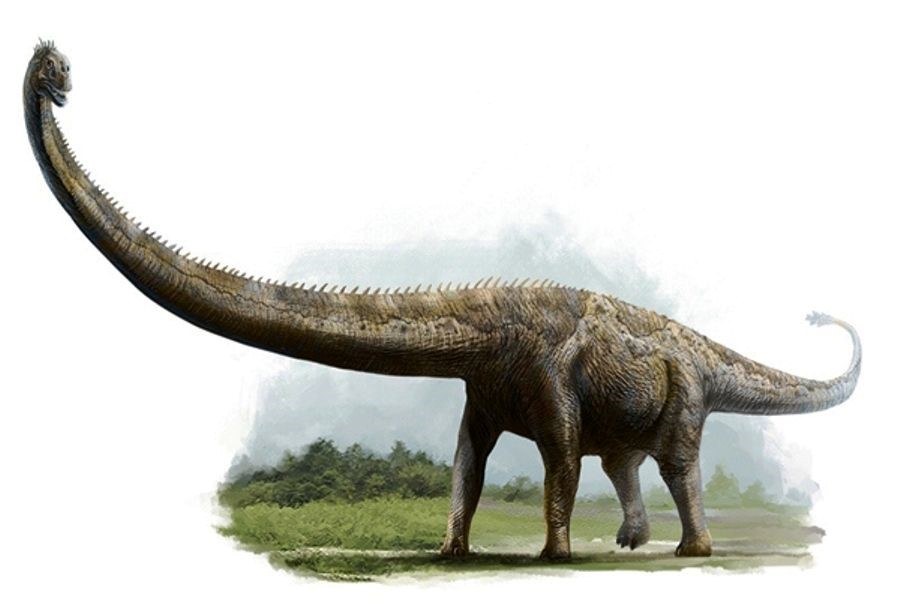 Khám Phá Mọi Điều Về Loài Khủng Long Thằn Lằn To Nhất Thế Giới Argentinosaurus -