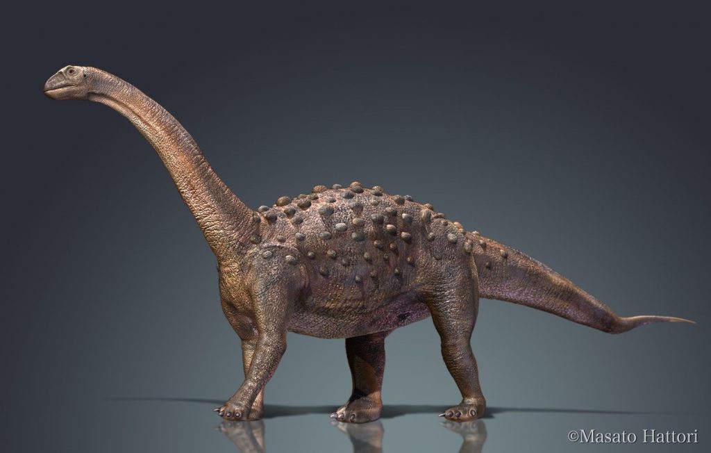 t về khủng long chân thằn lằn Saltasaurus - 8
