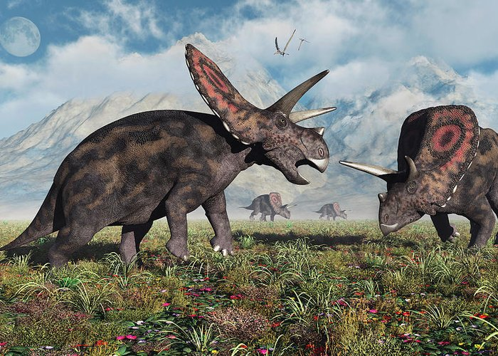 Những sự thật thú vị về khủng long sọ dài Torosaurus mà bạn chưa biết - 9
