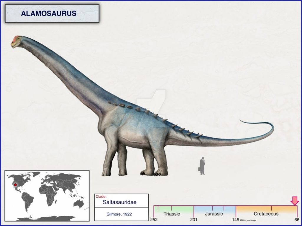 Cùng tìm hiểu về Đại long ăn cỏ Alamosaurus - Loài khủng long lớn nhất Bắc Mỹ - 2