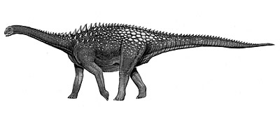 Khủng long cao cổ Ampelosaurus với bộ não chỉ bé bằng bóng tennis - 1