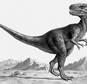 Bí mật kinh hoàng về kẻ săn mồi đơn độc: Khủng long bạo chúa Châu Á Alectrosaurus - 1