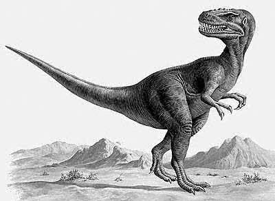 Bí mật kinh hoàng về kẻ săn mồi đơn độc: Khủng long bạo chúa Châu Á Alectrosaurus - 2