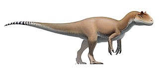 Chi Quái dị long Allosaurus - Những loài khủng long “chưa xác định” - 1