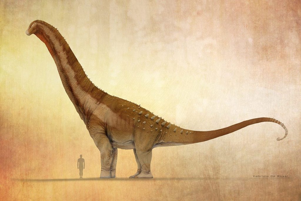 Cùng tìm hiểu về Đại long ăn cỏ Alamosaurus - Loài khủng long lớn nhất Bắc Mỹ - 3