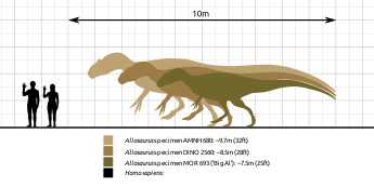 Chi Quái dị long Allosaurus - Những loài khủng long “chưa xác định” - 2