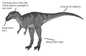 Bí ẩn về Khủng long răng nhọn Bắc Mỹ (Albertosaurus)? - 2