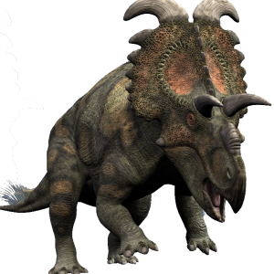 Bạn biết gì về loài Khủng long ba sừng Albertaceratops? - 3