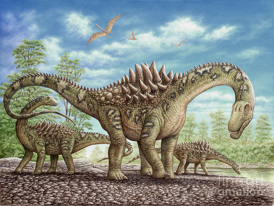 Khủng long cao cổ Ampelosaurus với bộ não chỉ bé bằng bóng tennis - 2