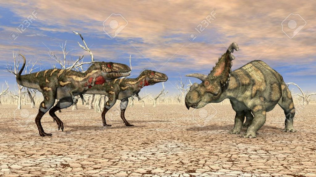 Bạn biết gì về loài Khủng long ba sừng Albertaceratops? - 5