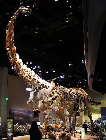 Cùng tìm hiểu về Đại long ăn cỏ Alamosaurus - Loài khủng long lớn nhất Bắc Mỹ - 6