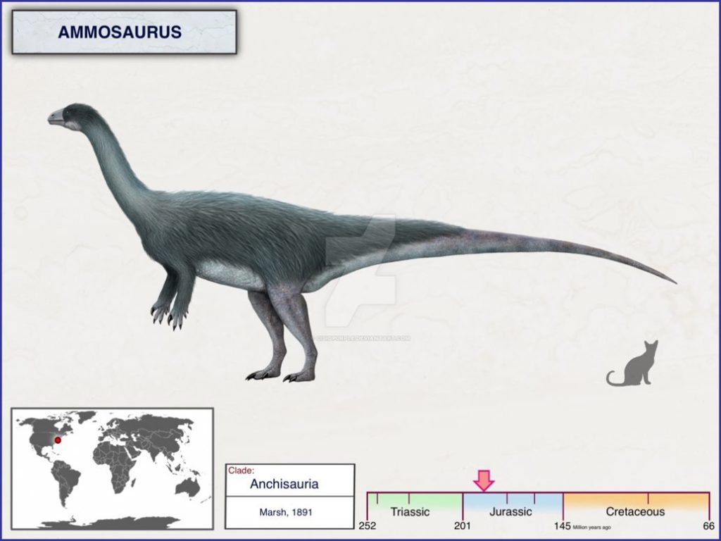 Khủng long cát Ammosaurus và những tranh cãi chưa có hồi kết - 4