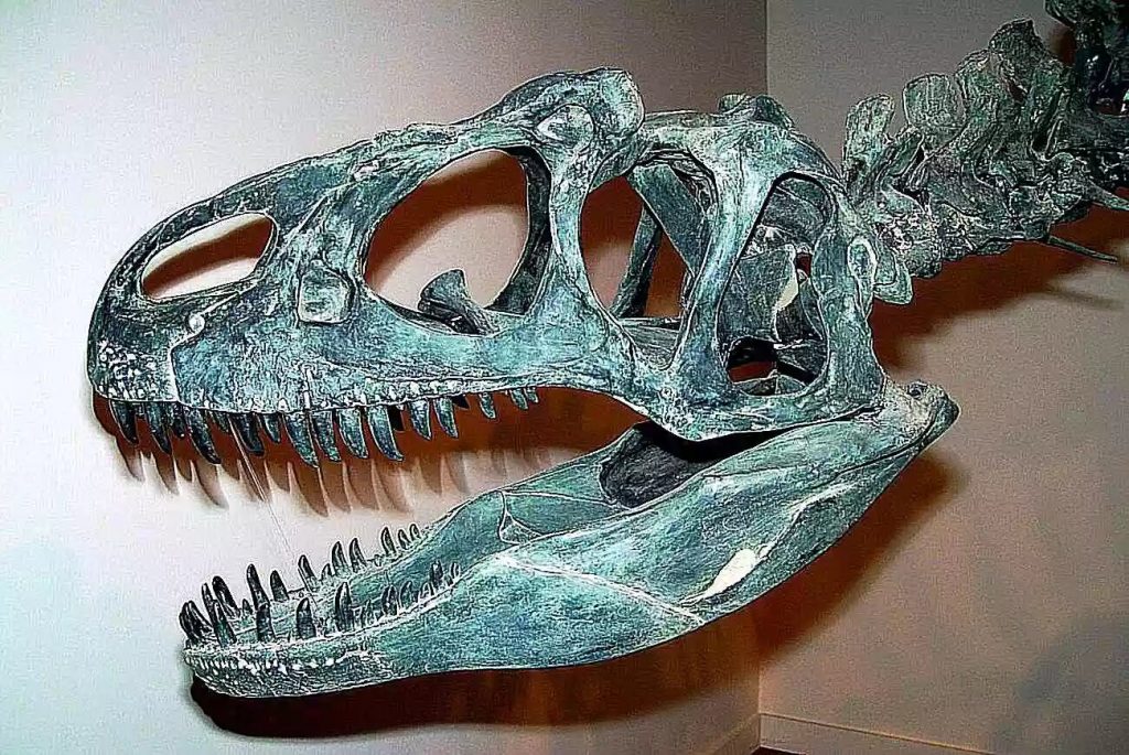 Chi Quái dị long Allosaurus - Những loài khủng long “chưa xác định” - 5