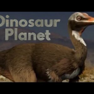Tìm hiểu loài khủng long Alvarezsaurus đến từ xứ sở Argentina - 6