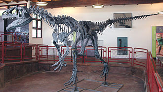 Chi Quái dị long Allosaurus - Những loài khủng long “chưa xác định” - 9