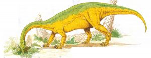 5 khám phá thú vị về Khủng long cận nguyên Anchisaurus - 1