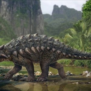 7 bí ẩn về cỗ xe tăng hạng nặng thời tiền sử - Khủng long hợp nhất Ankylosaurus - 1