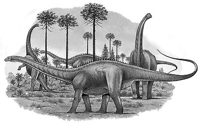 Top 3 điều thú vị nhất về Khủng long cổ dài Apatosaurus - 1