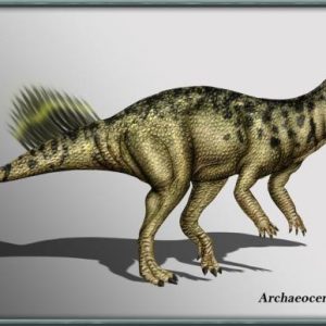 10+ khám phá về loài khủng long nhỏ bé đến từ Trung Quốc - Khủng long sừng cổ Archaeoceratops - 1
