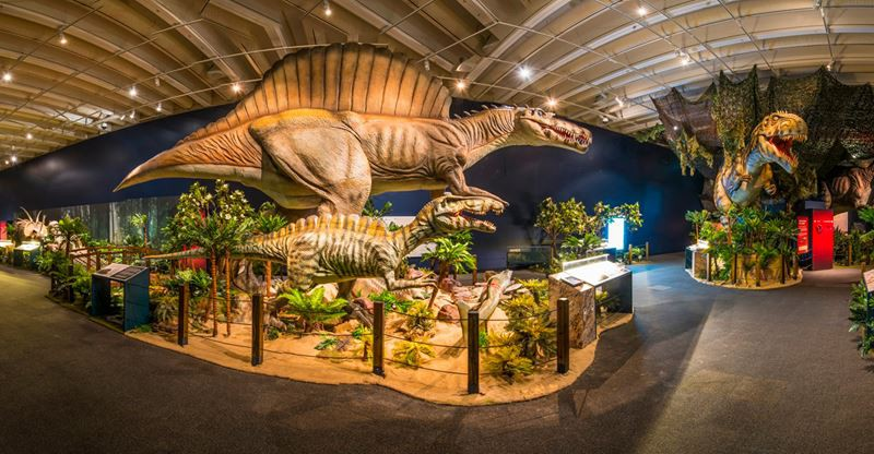 Khám phá thêm 5 bí ẩn về Khủng long phương nam Austrosaurus - 6