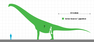 Khám phá 5 loài của chi Khủng long Nam bán cầu Antarctosaurus - 10