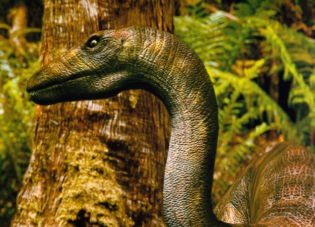 5 khám phá thú vị về Khủng long cận nguyên Anchisaurus - 11