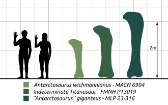 Khám phá 5 loài của chi Khủng long Nam bán cầu Antarctosaurus - 11