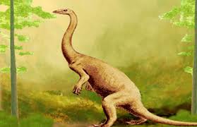 5 khám phá thú vị về Khủng long cận nguyên Anchisaurus - 2