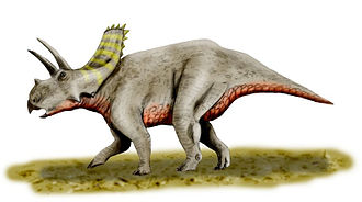 Khám phá 8 điều thú vị về Khủng long khuyết sừng mũi Arrhinoceratops - 2