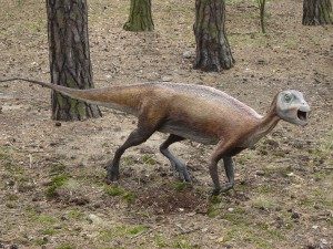 6 điểm kỳ lạ của Khủng long tý hon Atlas Copco (Atlascopcosaurus) đến từ nước Úc - 2